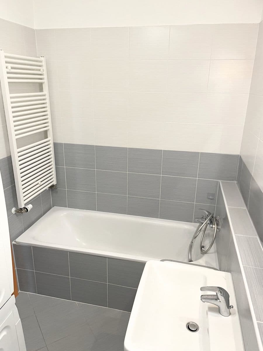 1 bedroom with open-plan kitchen flat to rent, 50 m², Svitákova, Prague, Prague 1 bedroom with open-plan kitchen flat to rent, 50 m², Svitákova, Prague, Prague