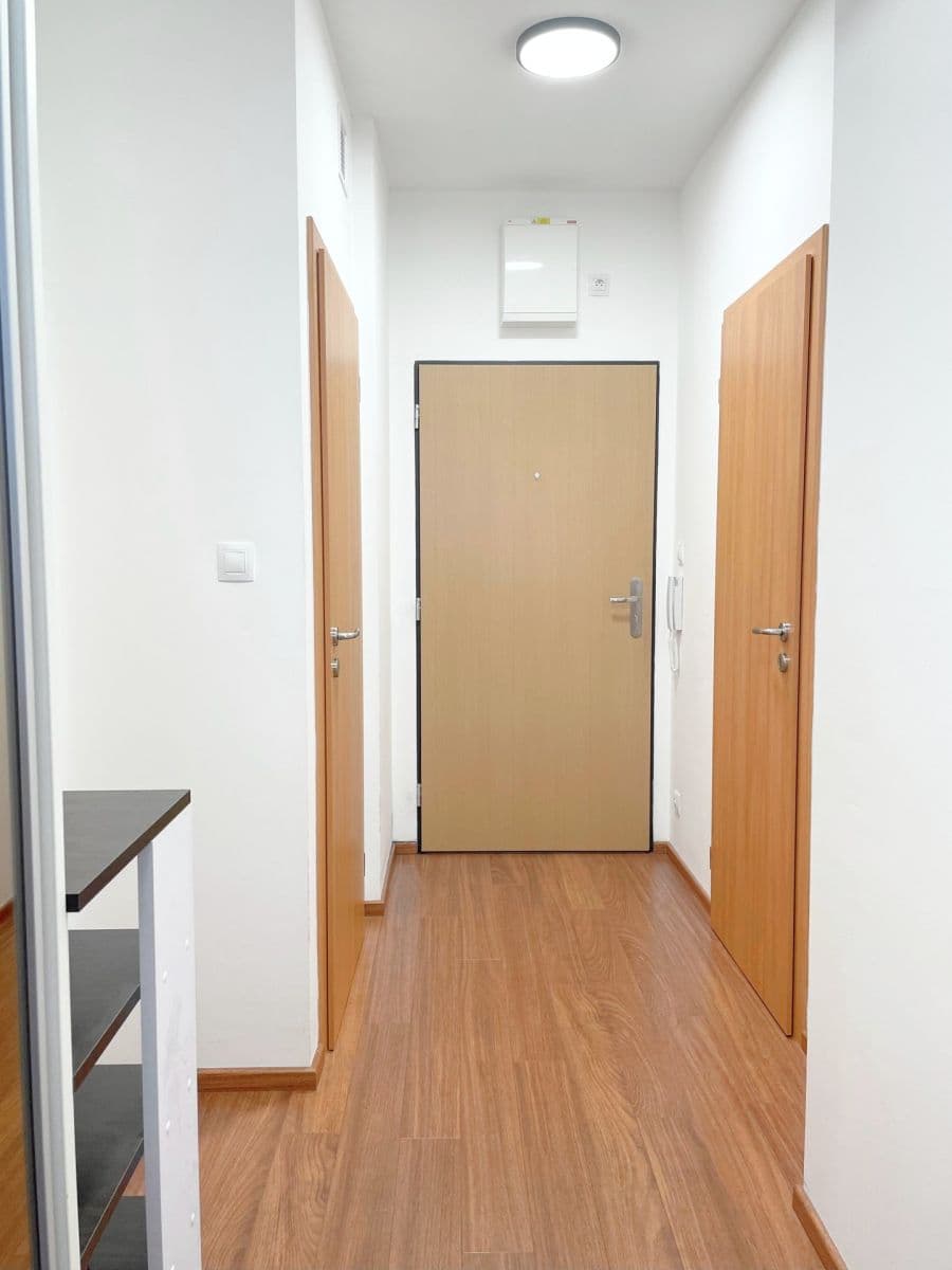 1 bedroom with open-plan kitchen flat to rent, 50 m², Svitákova, Prague, Prague 1 bedroom with open-plan kitchen flat to rent, 50 m², Svitákova, Prague, Prague