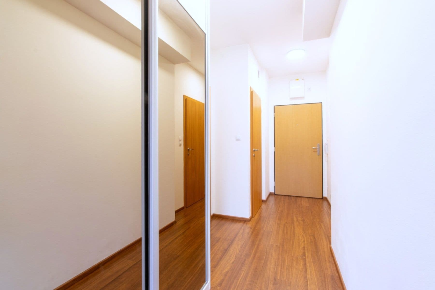 1 bedroom with open-plan kitchen flat to rent, 50 m², Svitákova, Prague, Prague 1 bedroom with open-plan kitchen flat to rent, 50 m², Svitákova, Prague, Prague