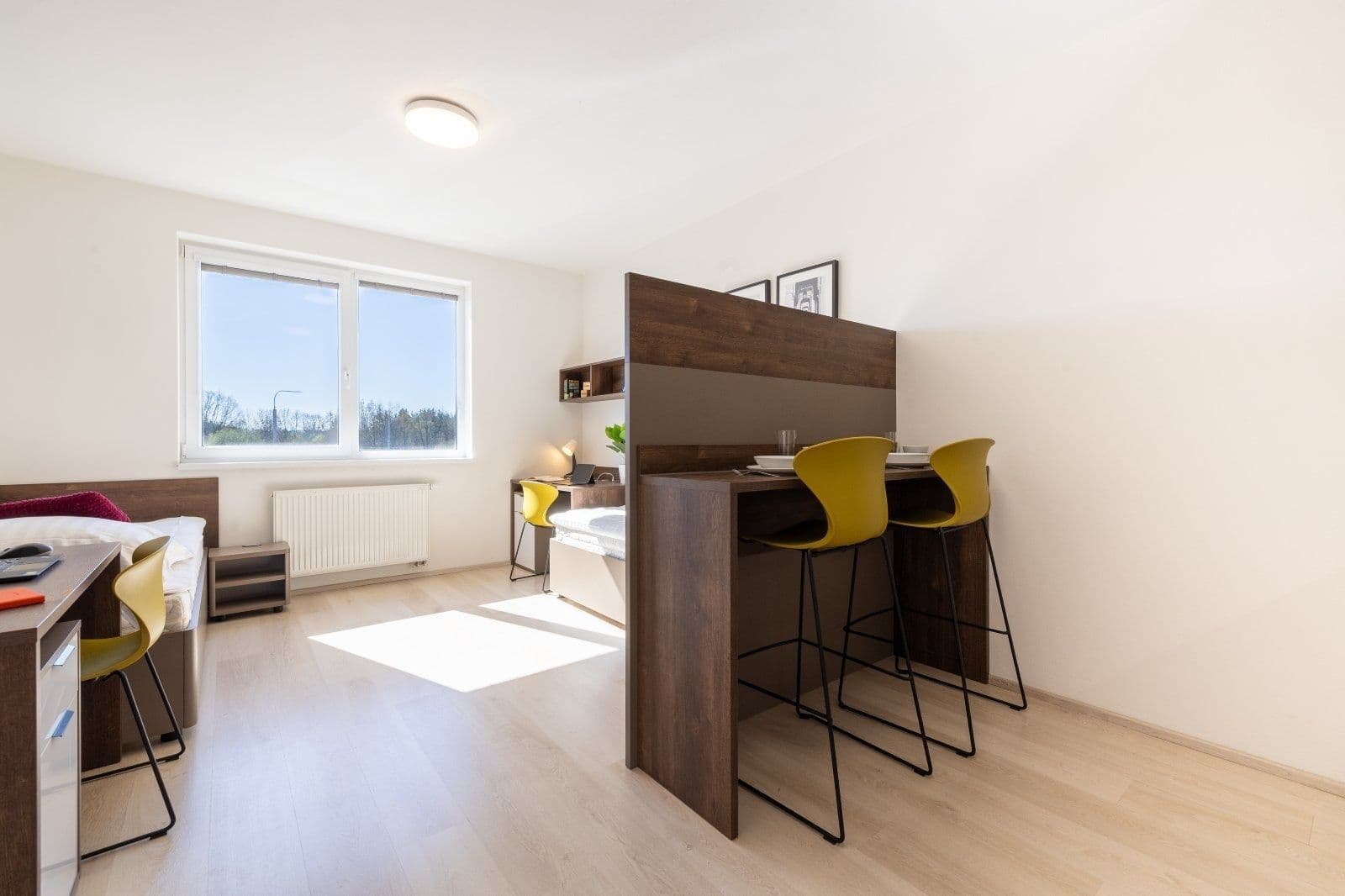 Studio flat to rent, 27 m², Magisterská, Plzeň, Plzeňský Region Studio flat to rent, 27 m², Magisterská, Plzeň, Plzeňský Region