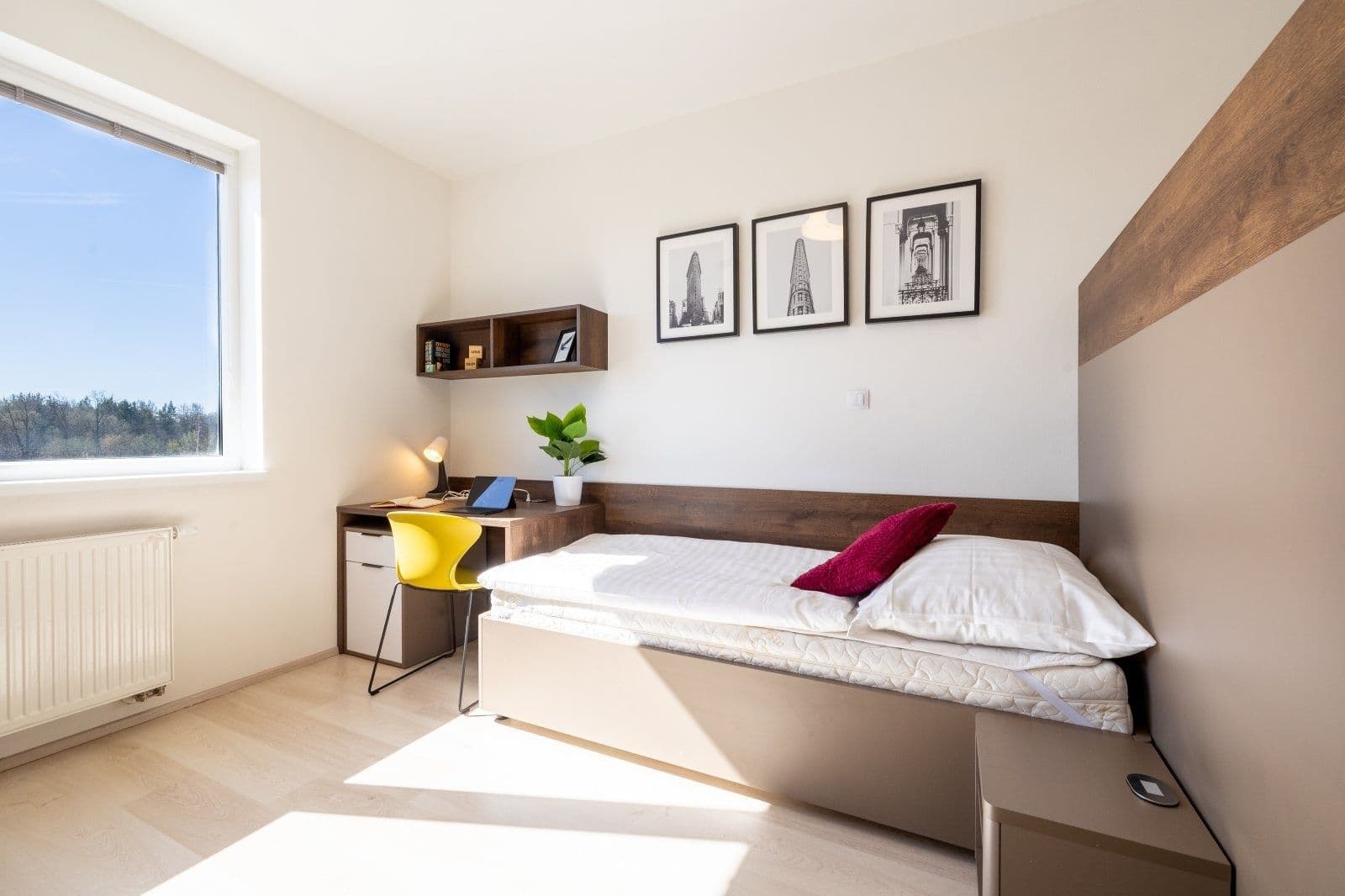 Studio flat to rent, 27 m², Magisterská, Plzeň, Plzeňský Region Studio flat to rent, 27 m², Magisterská, Plzeň, Plzeňský Region