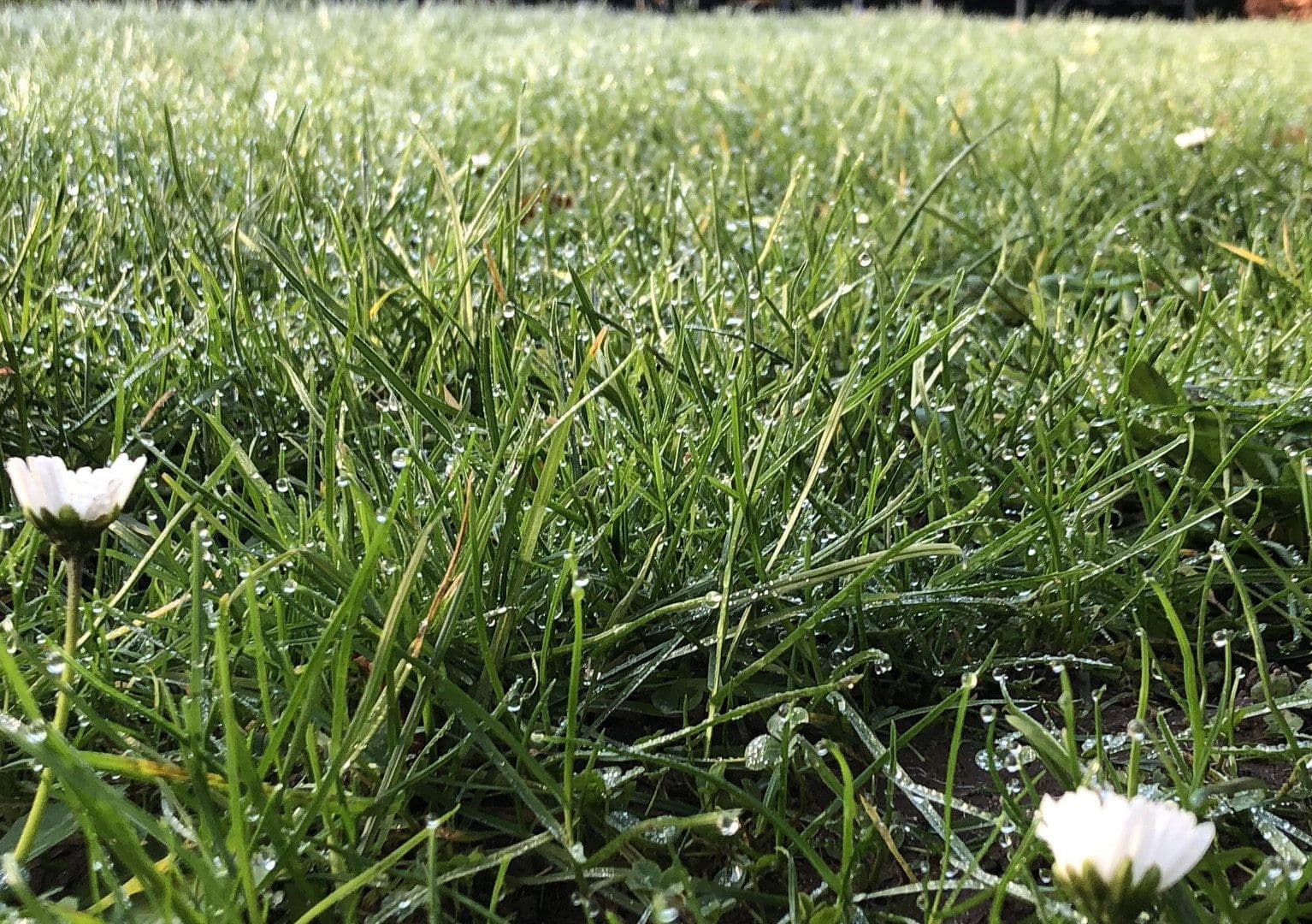 house for sale, 120 m², Wesel, North Rhine-Westphalia house for sale, 120 m², Wesel, North Rhine-Westphalia