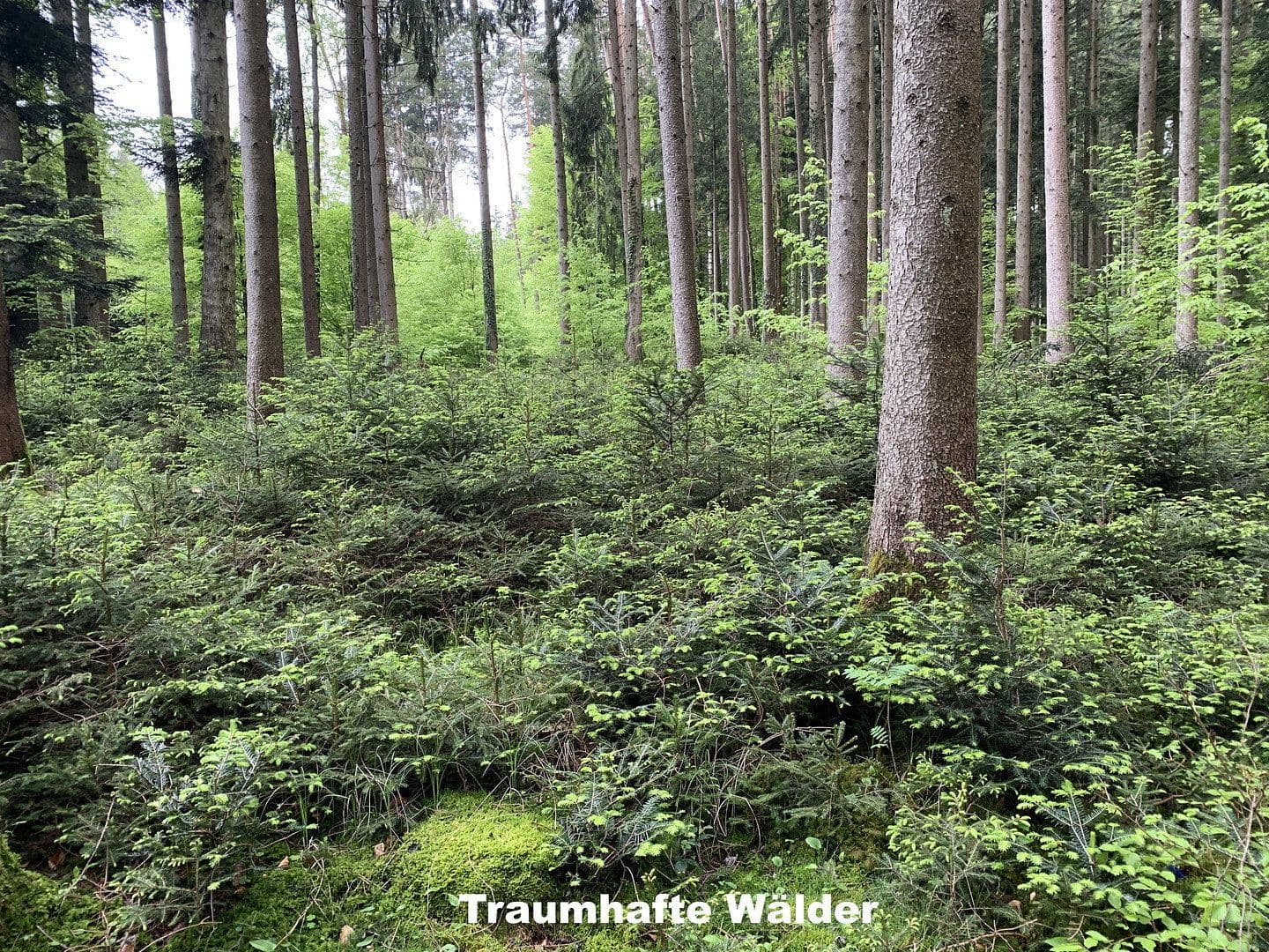 house for sale, 350 m², Ebersberg, Bavaria house for sale, 350 m², Ebersberg, Bavaria