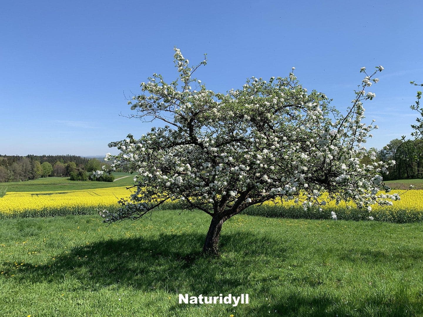 house for sale, 350 m², Ebersberg, Bavaria house for sale, 350 m², Ebersberg, Bavaria