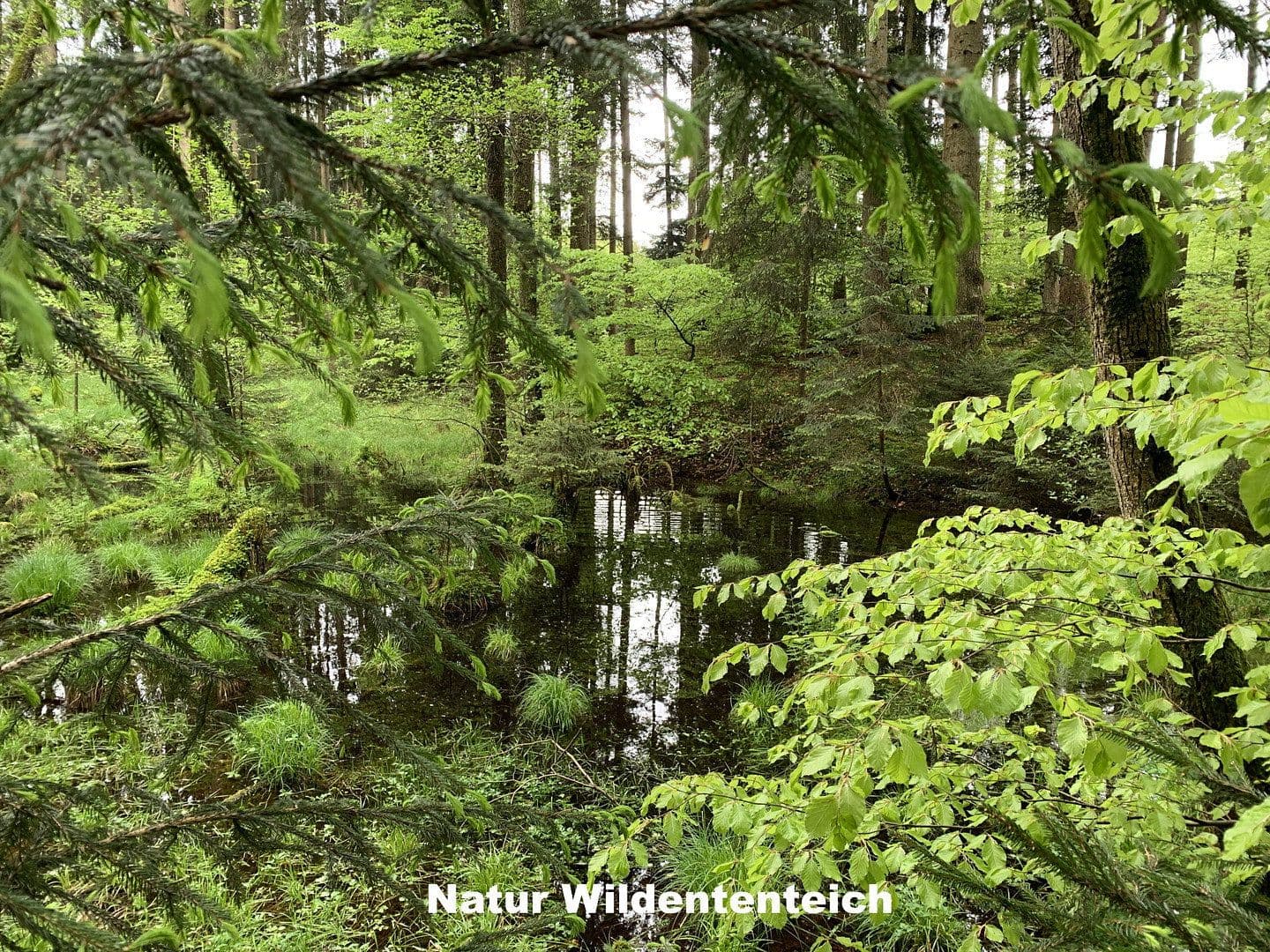 house for sale, 350 m², Ebersberg, Bavaria house for sale, 350 m², Ebersberg, Bavaria