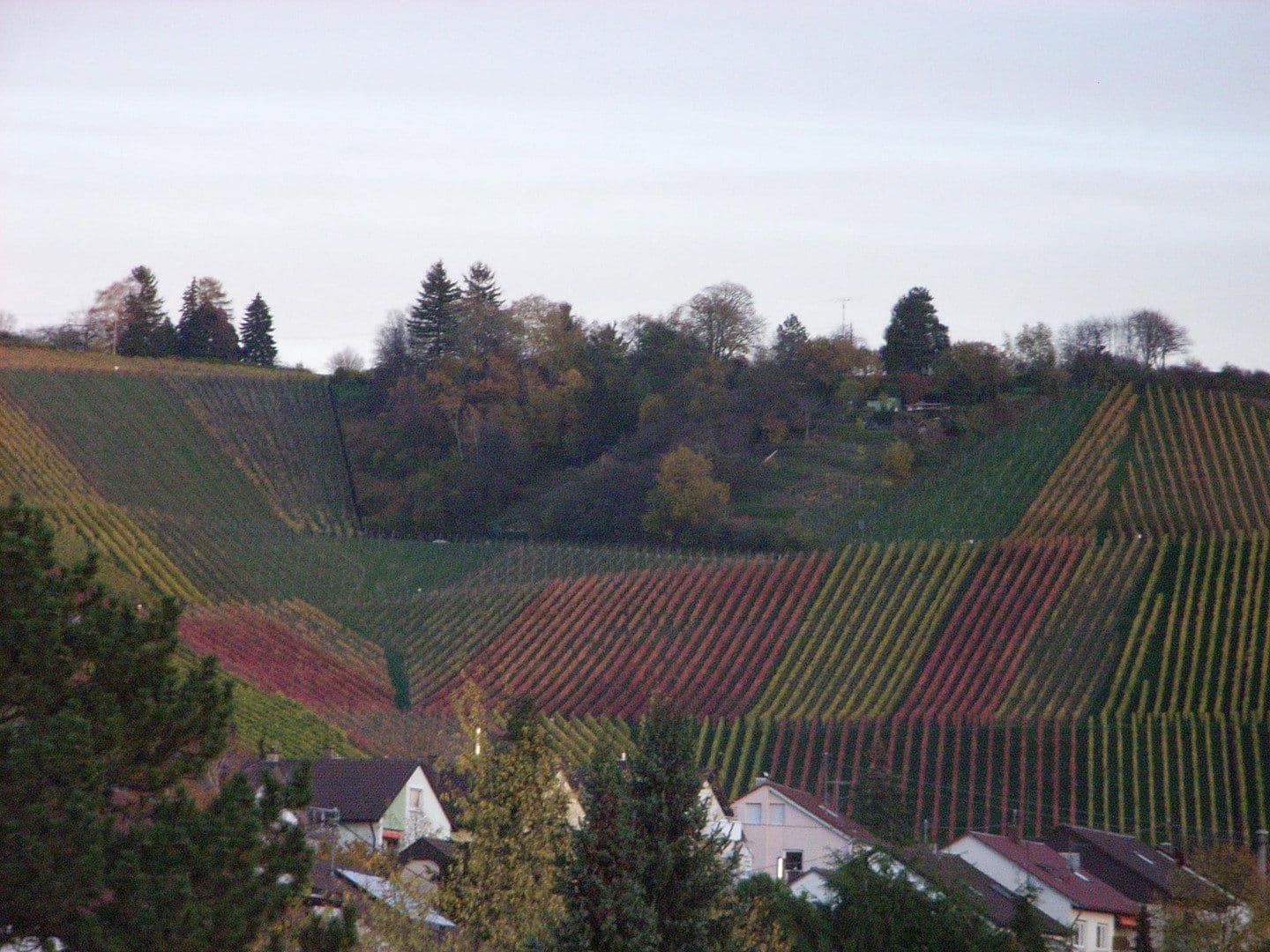 3 bedroom with open-plan kitchen flat for sale, 112 m², Burghaldenstraße 13, Weinstadt, Baden-Württemberg 3 bedroom with open-plan kitchen flat for sale, 112 m², Burghaldenstraße 13, Weinstadt, Baden-Württemberg