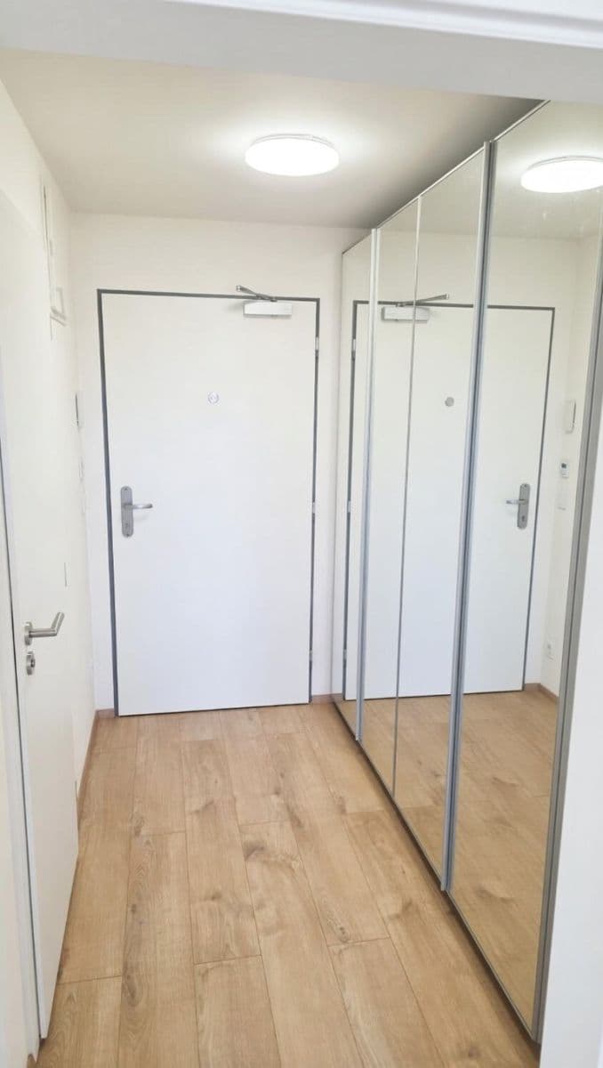 Studio flat to rent, 31 m², Františka Štěpánka, Prague, Prague Studio flat to rent, 31 m², Františka Štěpánka, Prague, Prague