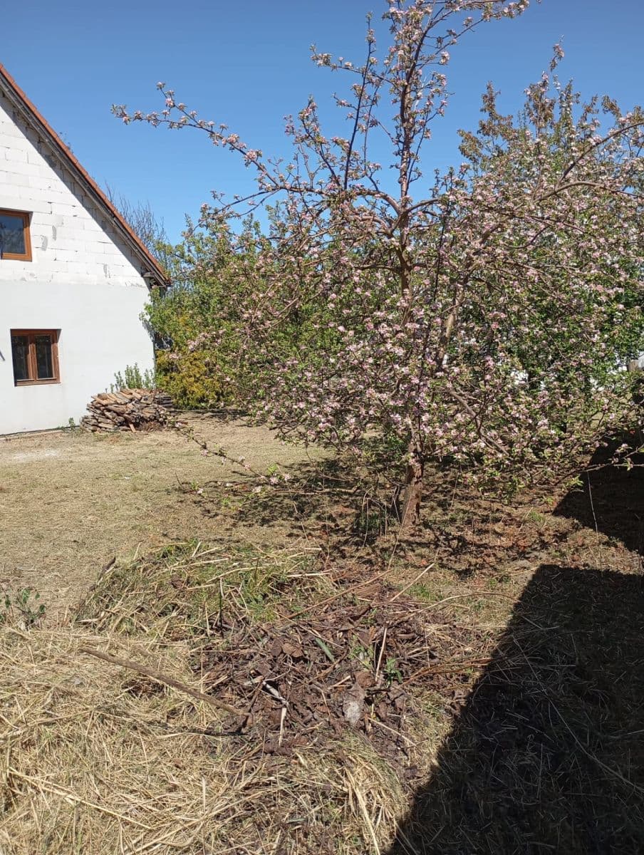 house for sale, 132 m², Stříbřec, Jihočeský Region house for sale, 132 m², Stříbřec, Jihočeský Region