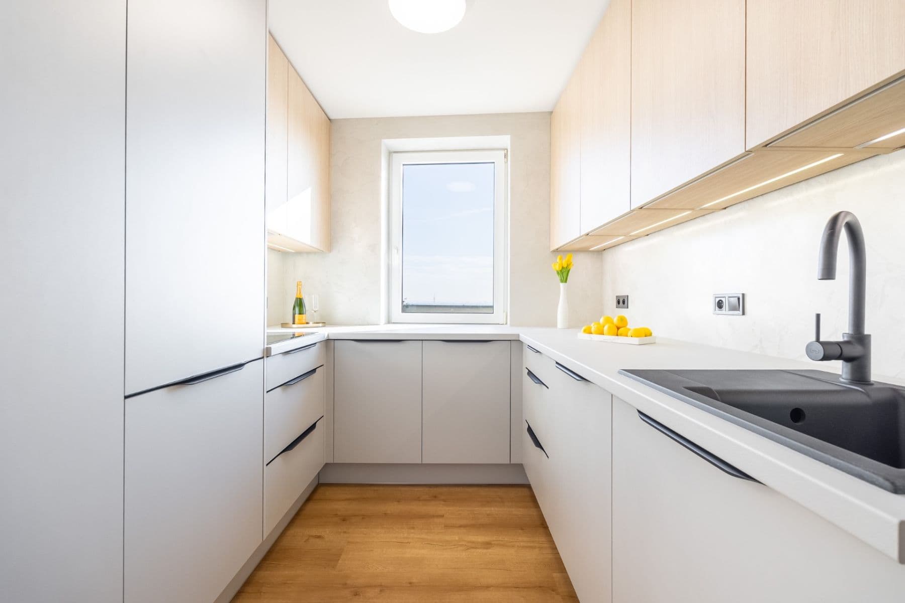 2 bedroom with open-plan kitchen flat for sale, 100 m², Velká skála, Prague, Prague 2 bedroom with open-plan kitchen flat for sale, 100 m², Velká skála, Prague, Prague