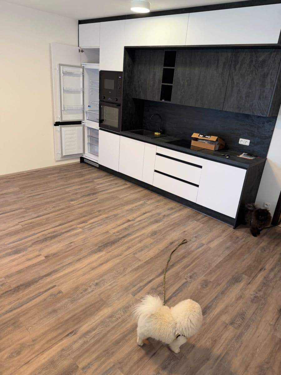 1 bedroom with open-plan kitchen flat to rent, 53 m², Stočesova, Prague, Prague 1 bedroom with open-plan kitchen flat to rent, 53 m², Stočesova, Prague, Prague