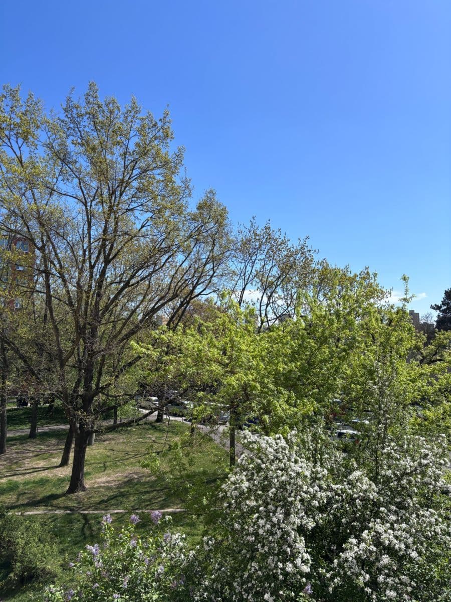 3 bedroom flat to rent, 77 m², Novodvorská, Prague, Prague 3 bedroom flat to rent, 77 m², Novodvorská, Prague, Prague