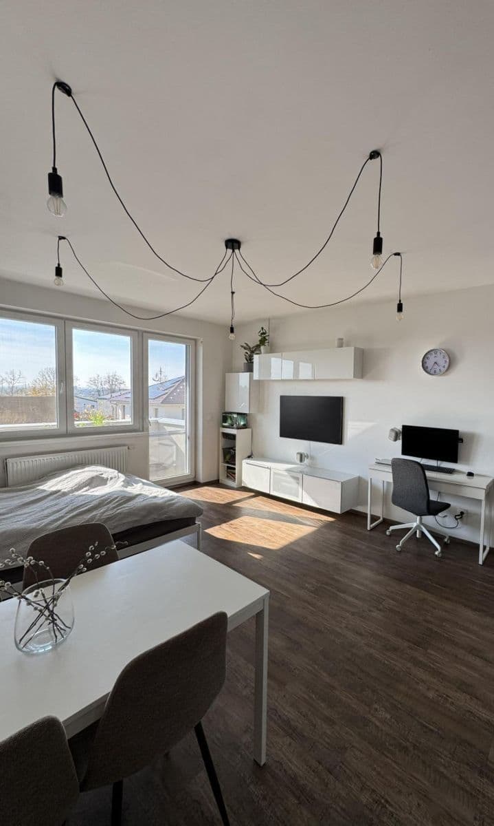 1 bedroom with open-plan kitchen flat for sale, 54 m², Pod Horkami, Prague, Prague 1 bedroom with open-plan kitchen flat for sale, 54 m², Pod Horkami, Prague, Prague