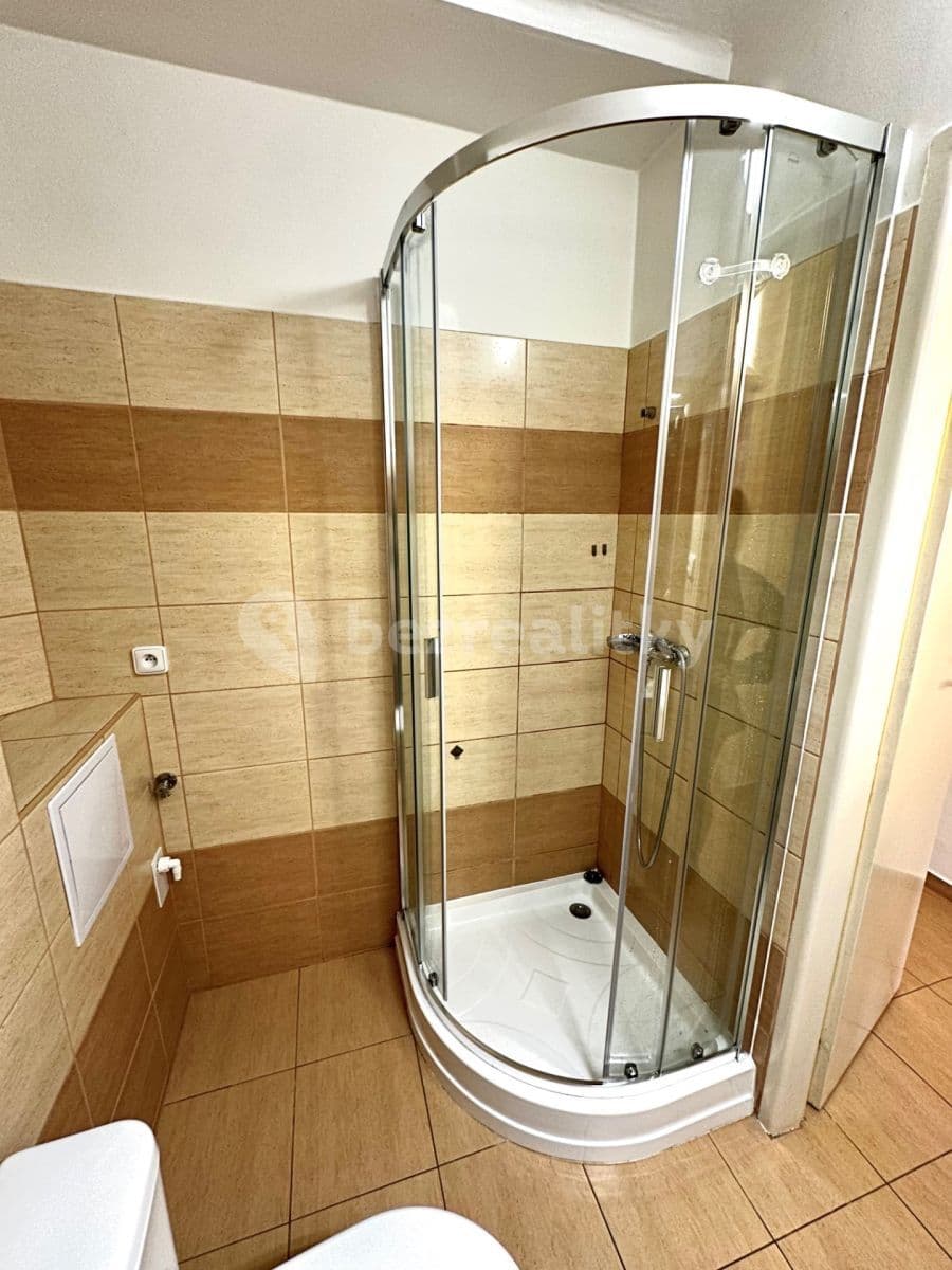 Studio flat to rent, 16 m², Vrchlického, Prague, Prague Studio flat to rent, 16 m², Vrchlického, Prague, Prague