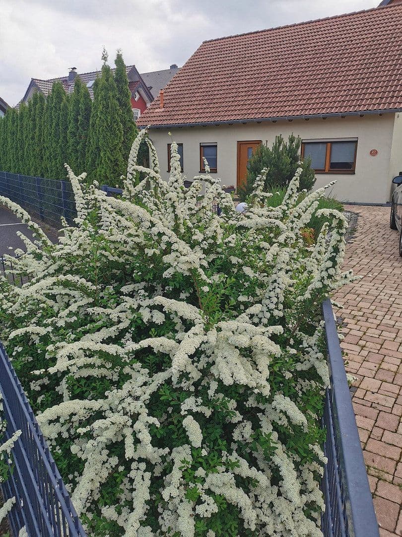 house for sale, 163 m², Büdingen, Hesse house for sale, 163 m², Büdingen, Hesse