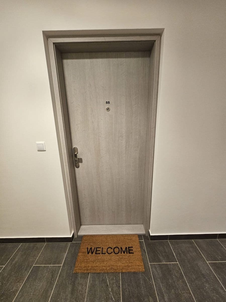 Studio flat to rent, 37 m², U Tesly, Prague, Prague Studio flat to rent, 37 m², U Tesly, Prague, Prague