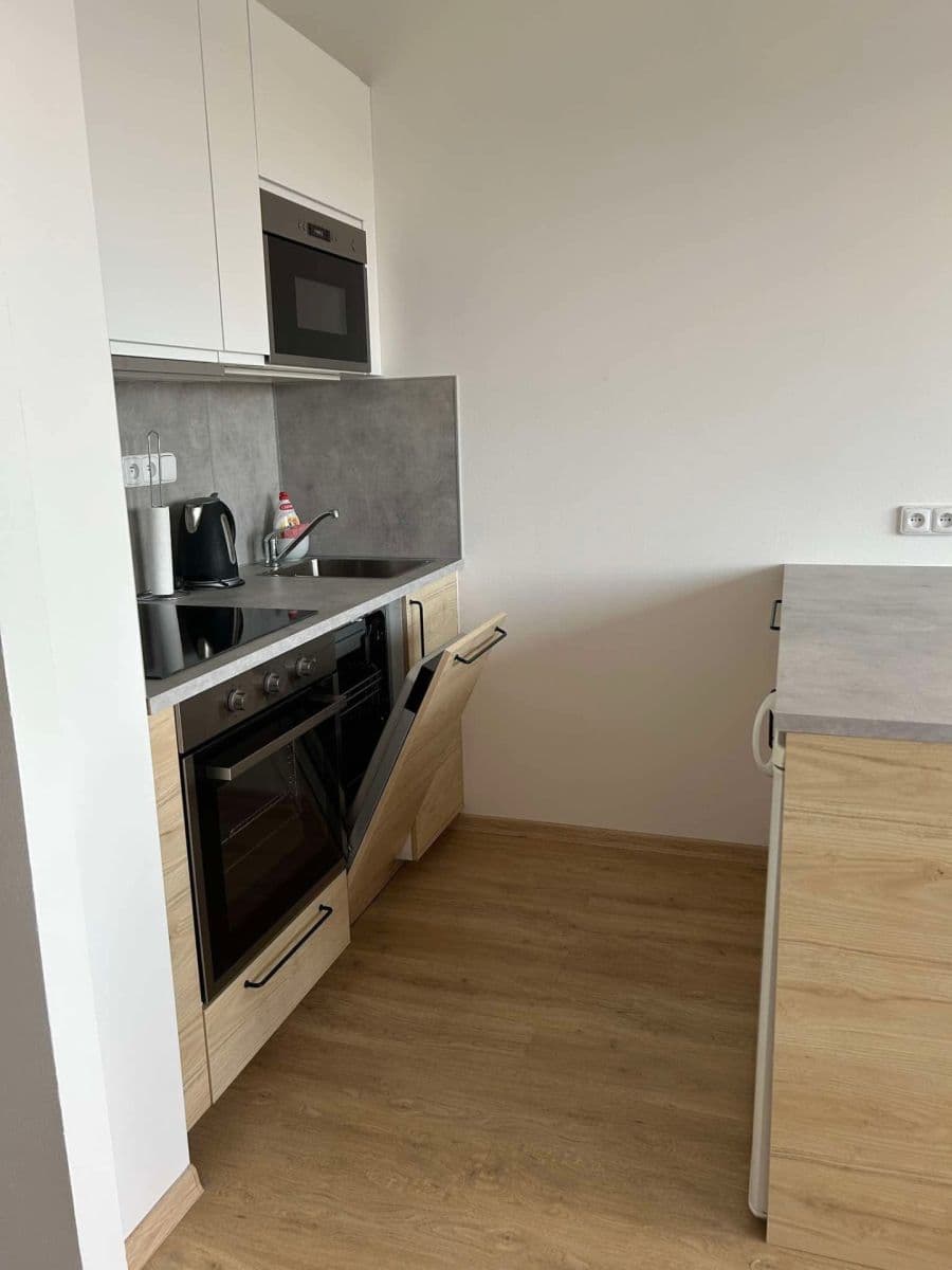 1 bedroom with open-plan kitchen flat to rent, 45 m², Bryksova, Prague, Prague 1 bedroom with open-plan kitchen flat to rent, 45 m², Bryksova, Prague, Prague