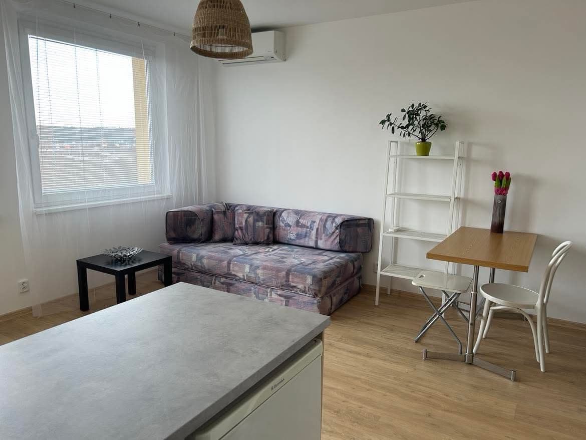 1 bedroom with open-plan kitchen flat to rent, 45 m², Bryksova, Prague, Prague 1 bedroom with open-plan kitchen flat to rent, 45 m², Bryksova, Prague, Prague