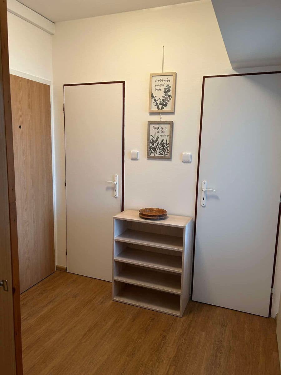 1 bedroom with open-plan kitchen flat to rent, 45 m², Bryksova, Prague, Prague 1 bedroom with open-plan kitchen flat to rent, 45 m², Bryksova, Prague, Prague