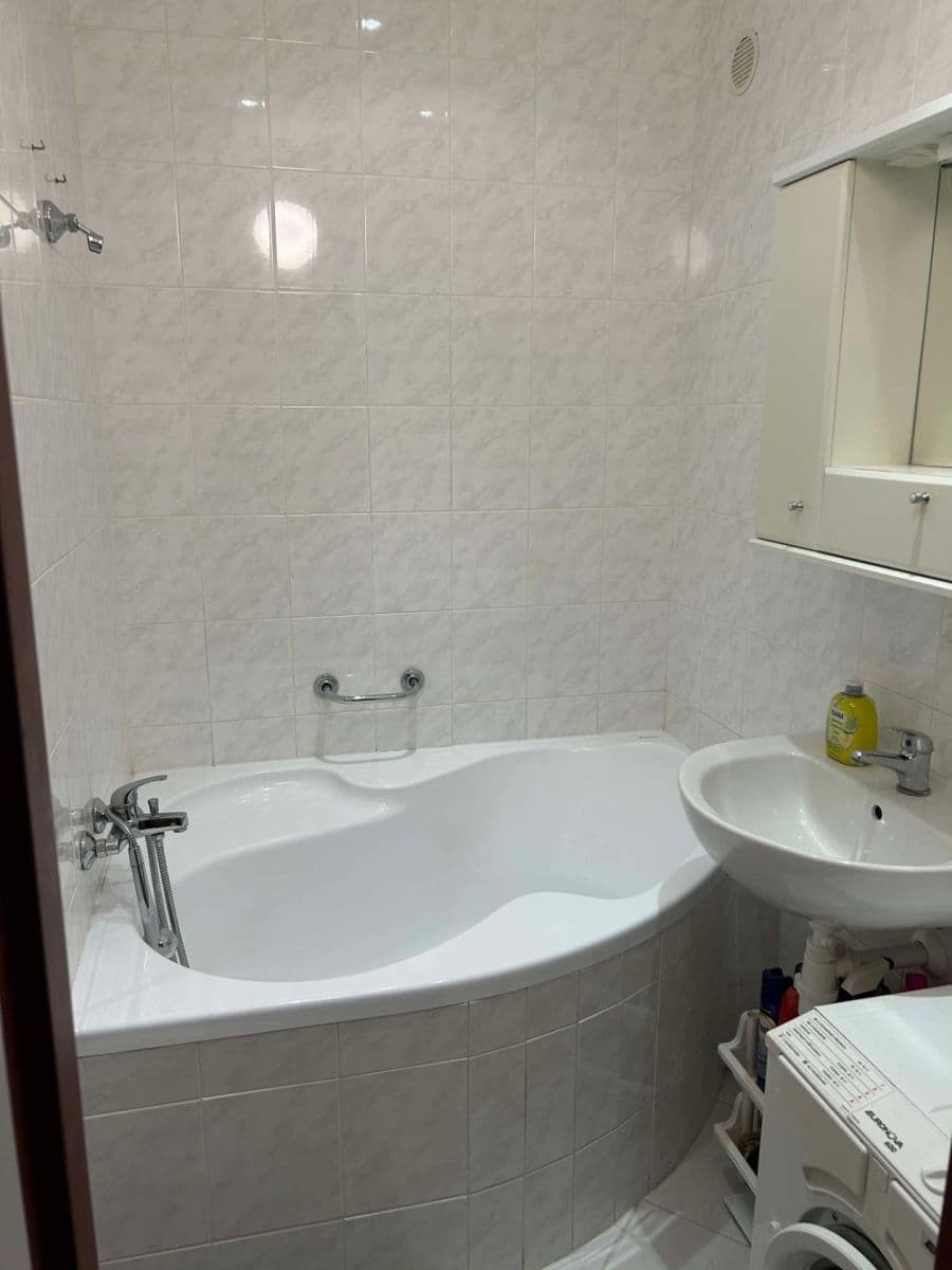 1 bedroom with open-plan kitchen flat to rent, 45 m², Bryksova, Prague, Prague 1 bedroom with open-plan kitchen flat to rent, 45 m², Bryksova, Prague, Prague