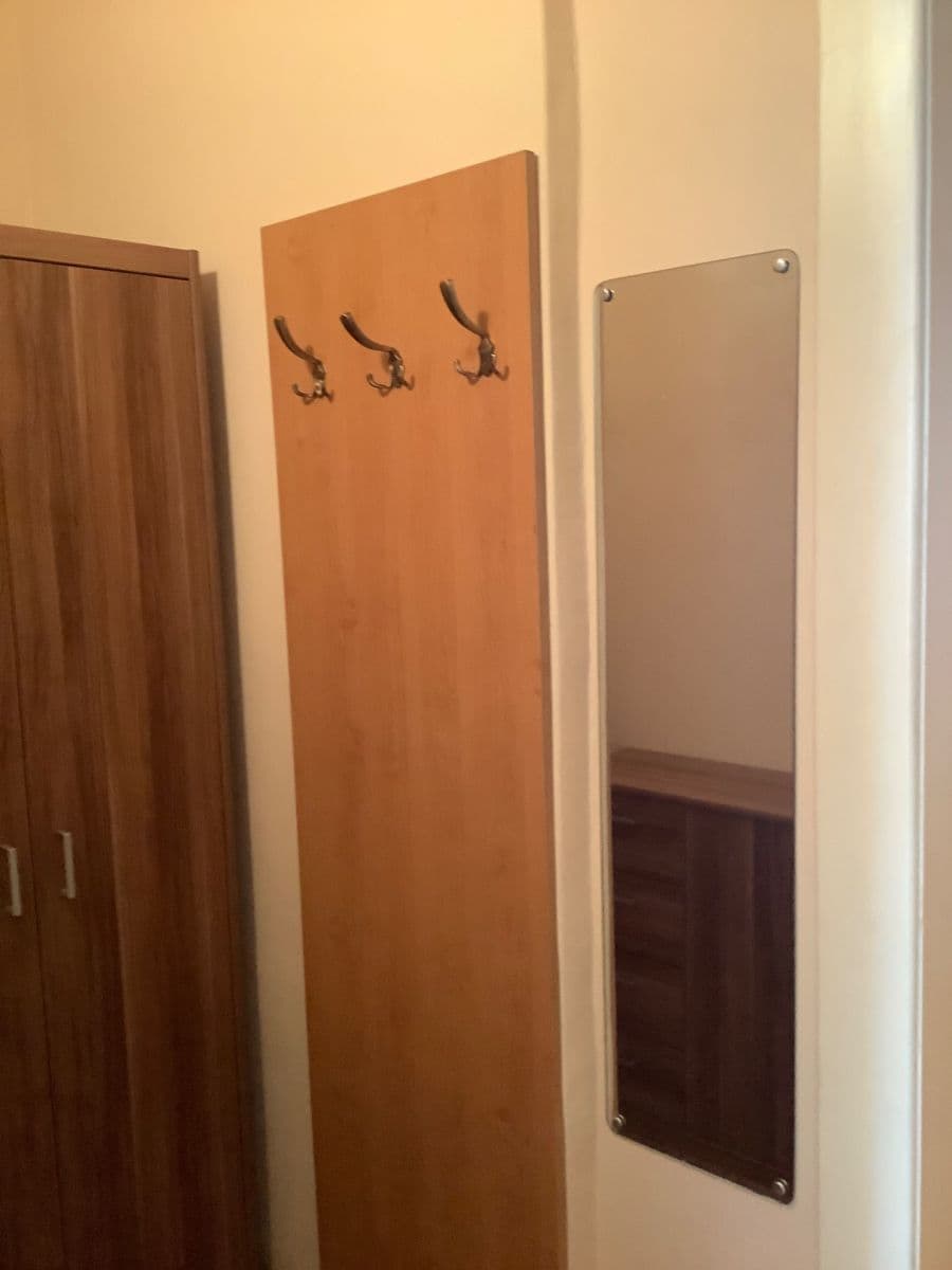 1 bedroom flat to rent, 44 m², Nuselská, Prague, Prague 1 bedroom flat to rent, 44 m², Nuselská, Prague, Prague