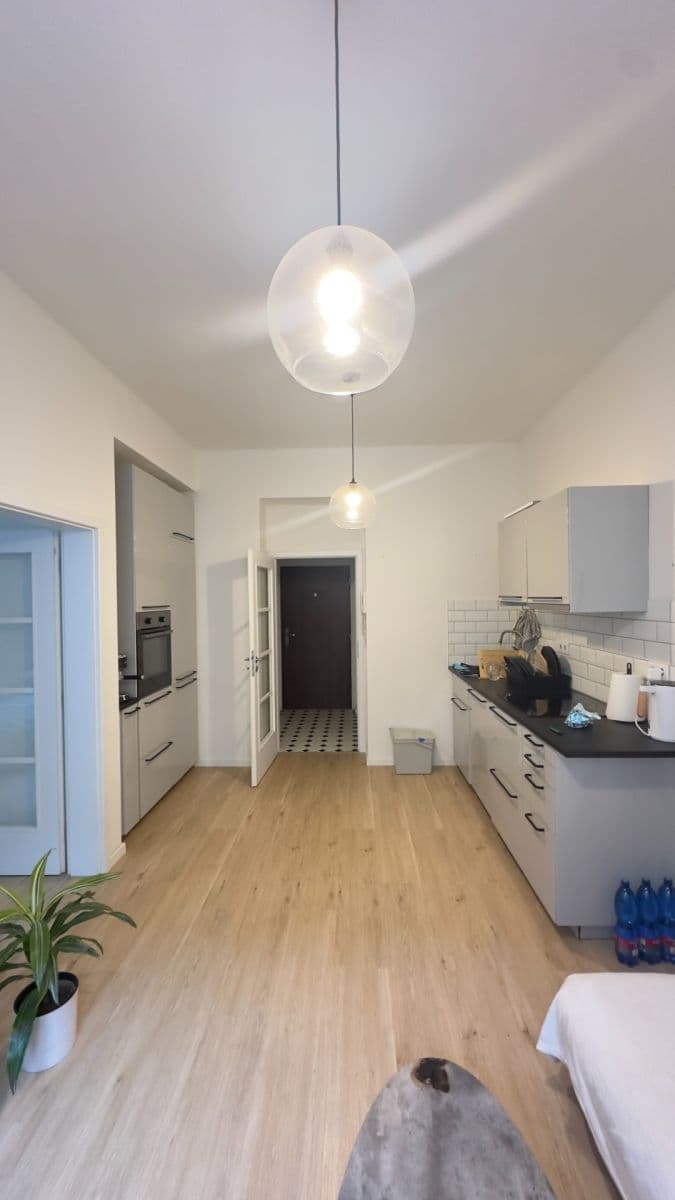 1 bedroom with open-plan kitchen flat for sale, 40 m², Pod Vilami, Prague, Prague 1 bedroom with open-plan kitchen flat for sale, 40 m², Pod Vilami, Prague, Prague
