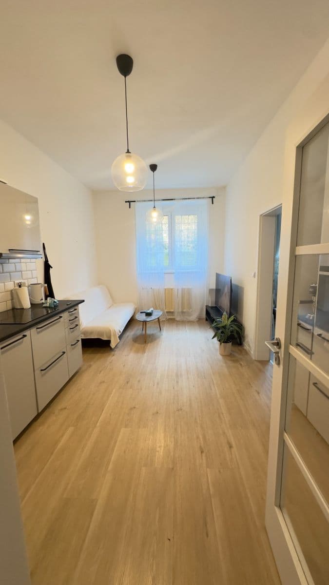 1 bedroom with open-plan kitchen flat for sale, 40 m², Pod Vilami, Prague, Prague 1 bedroom with open-plan kitchen flat for sale, 40 m², Pod Vilami, Prague, Prague