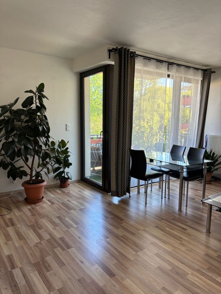1 bedroom with open-plan kitchen flat to rent, 59 m², Hálův statek, Prague, Prague 1 bedroom with open-plan kitchen flat to rent, 59 m², Hálův statek, Prague, Prague