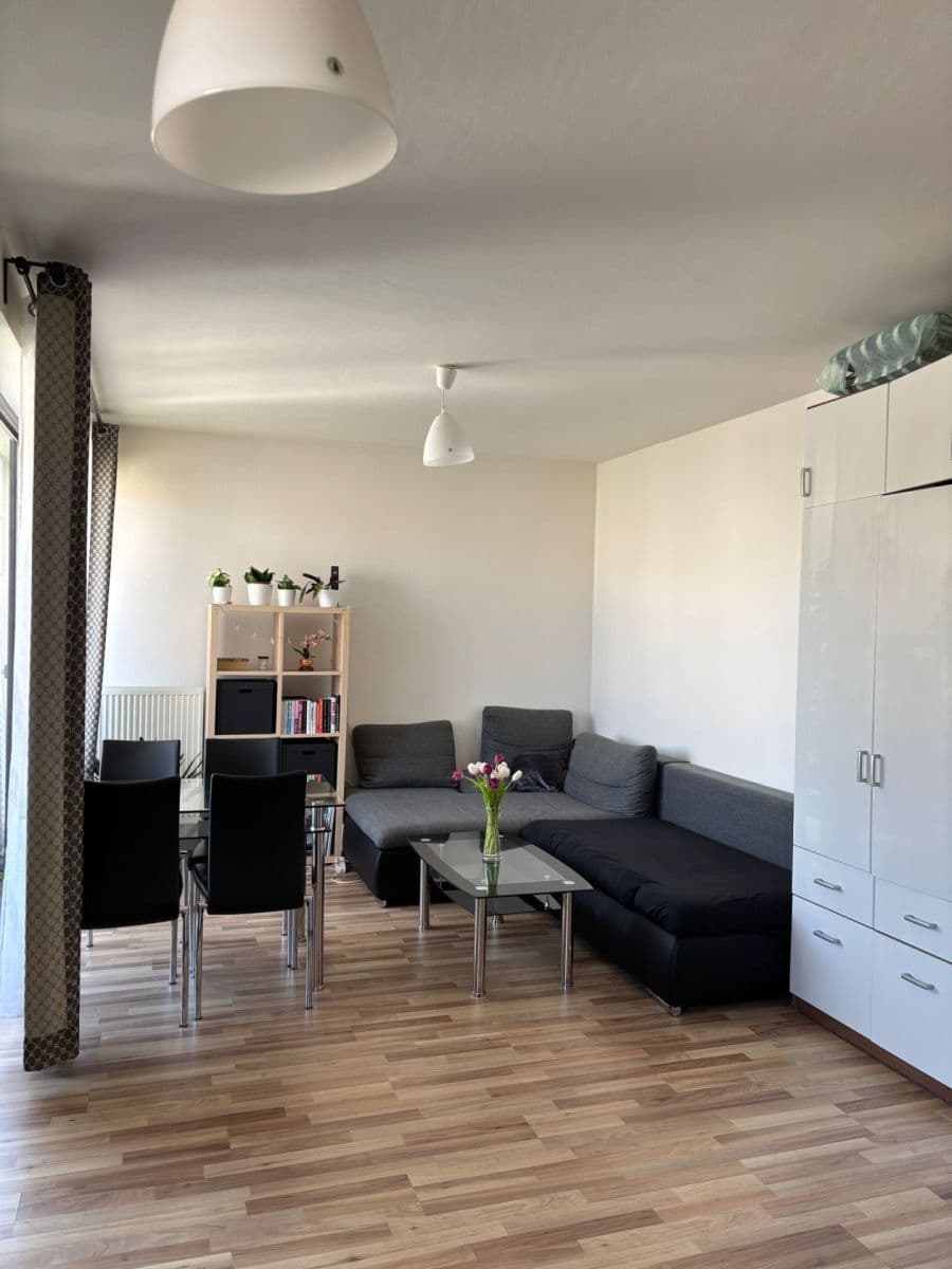 1 bedroom with open-plan kitchen flat to rent, 59 m², Hálův statek, Prague, Prague 1 bedroom with open-plan kitchen flat to rent, 59 m², Hálův statek, Prague, Prague