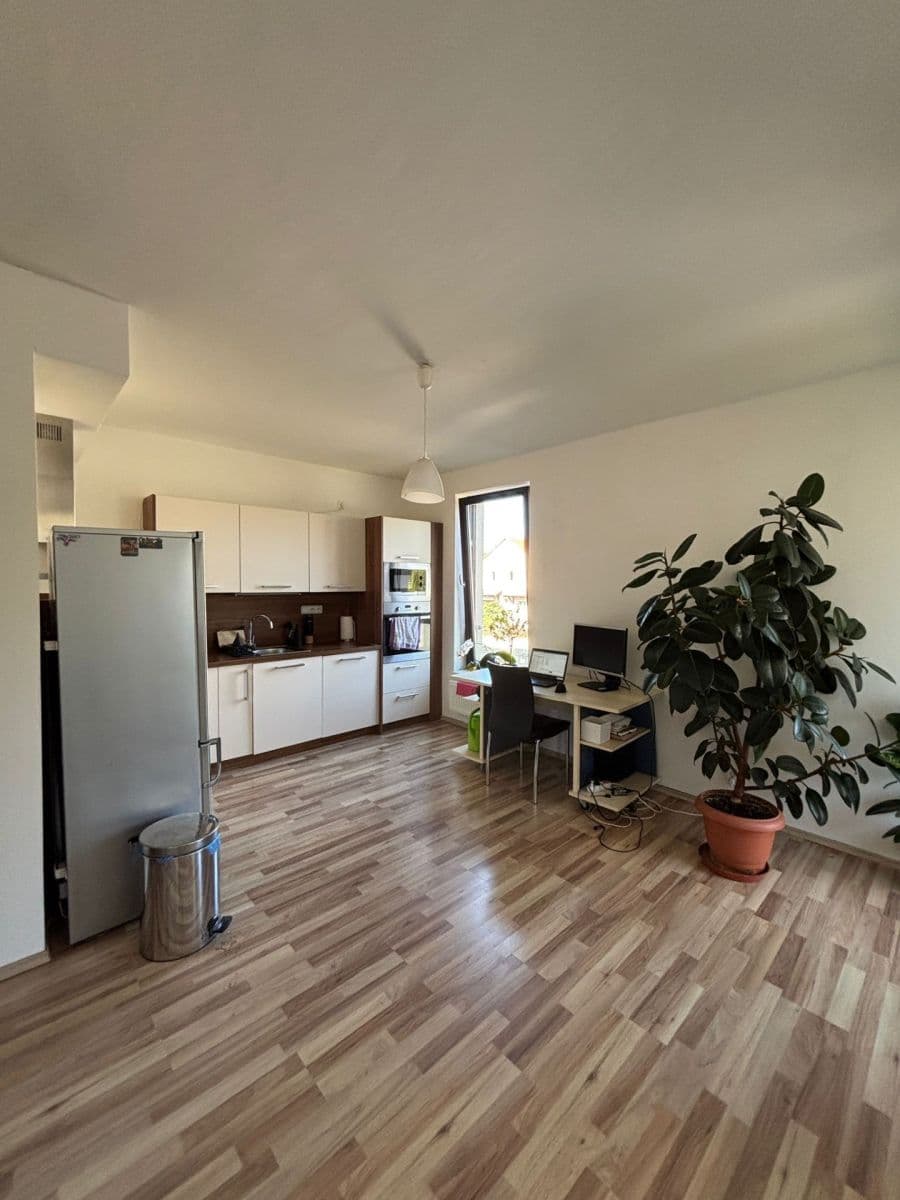 1 bedroom with open-plan kitchen flat to rent, 59 m², Hálův statek, Prague, Prague 1 bedroom with open-plan kitchen flat to rent, 59 m², Hálův statek, Prague, Prague