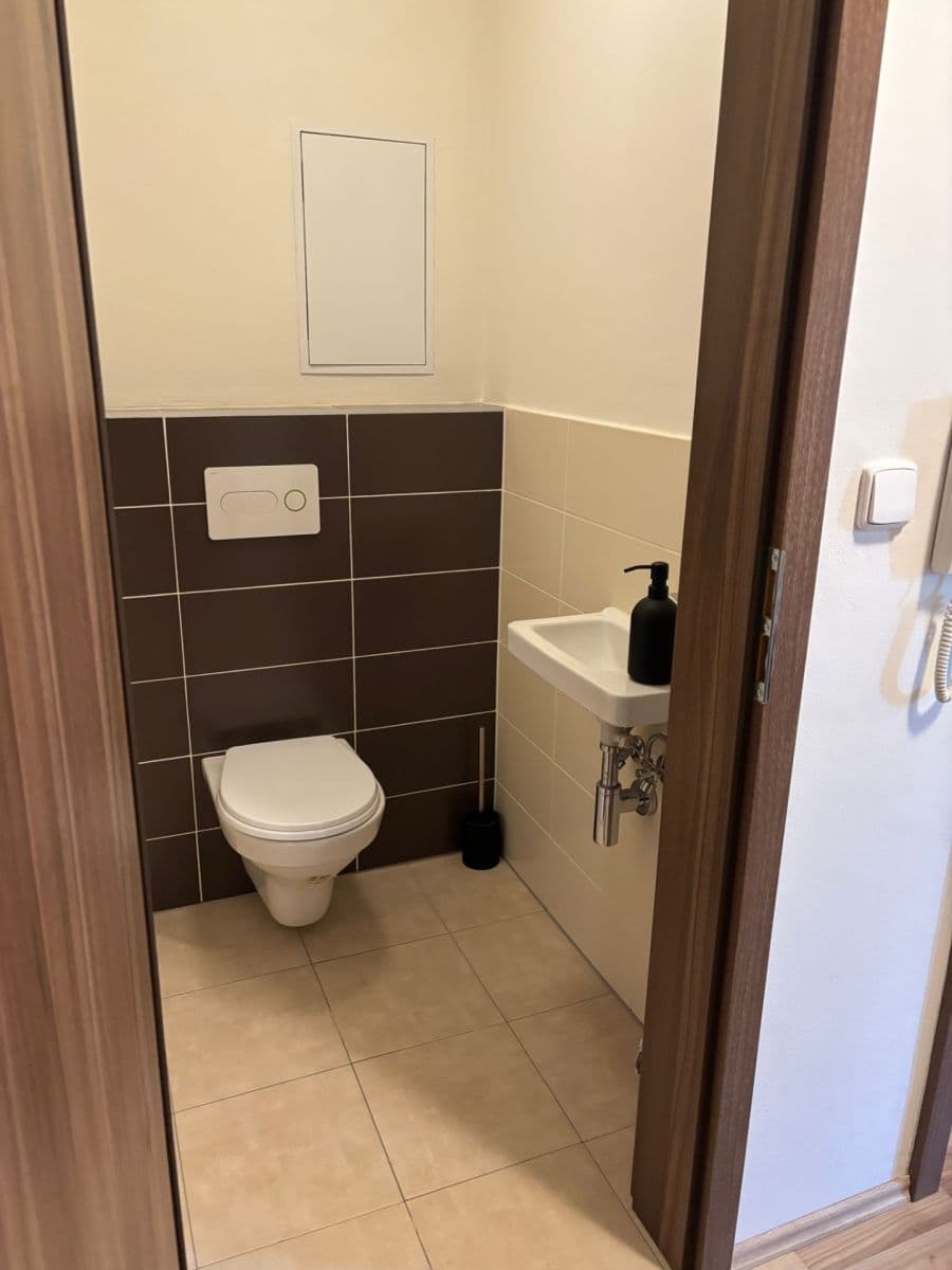 1 bedroom with open-plan kitchen flat to rent, 59 m², Hálův statek, Prague, Prague 1 bedroom with open-plan kitchen flat to rent, 59 m², Hálův statek, Prague, Prague