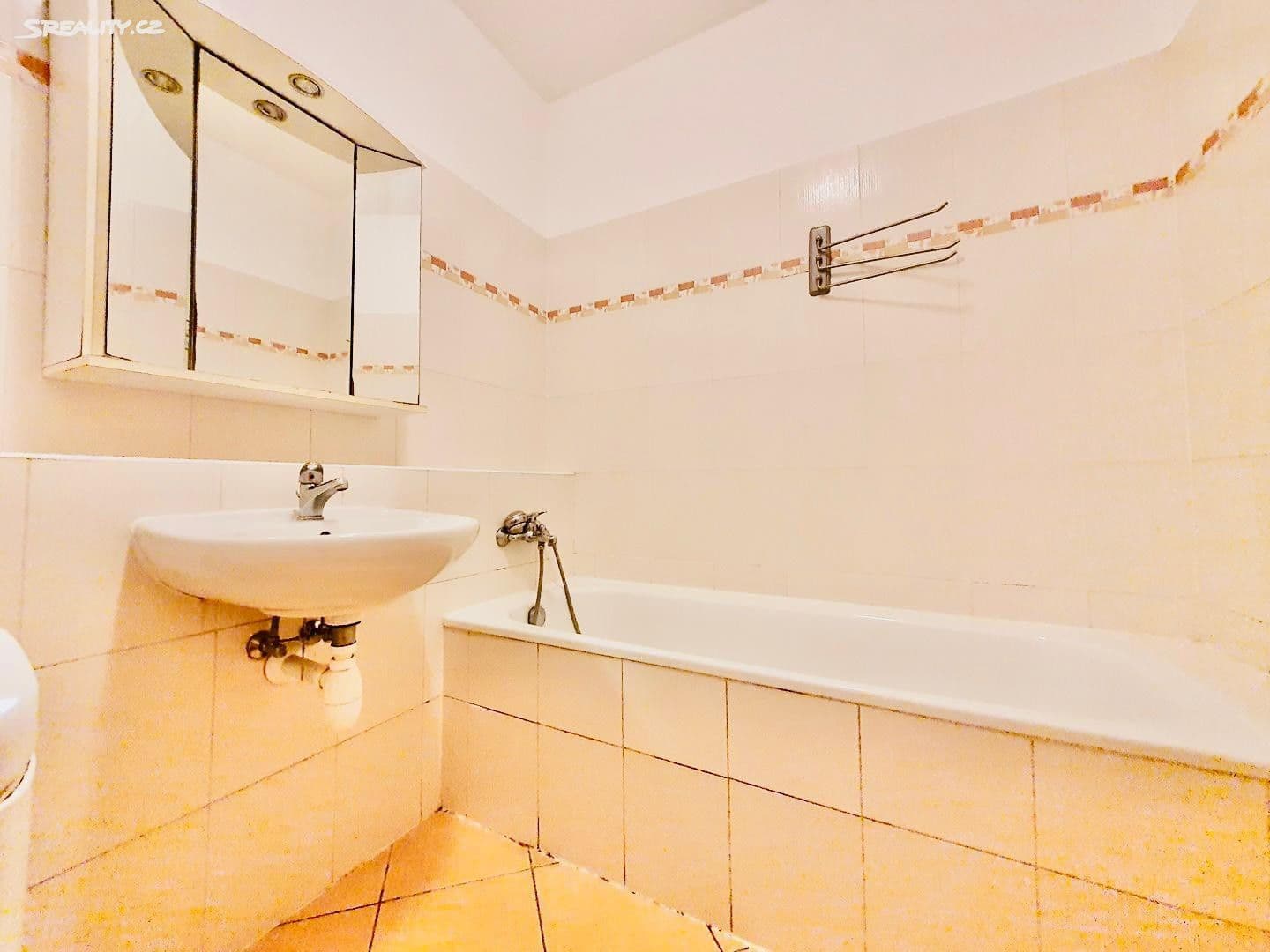 1 bedroom with open-plan kitchen flat for sale, 56 m², Marty Krásové, Prague, Prague 1 bedroom with open-plan kitchen flat for sale, 56 m², Marty Krásové, Prague, Prague