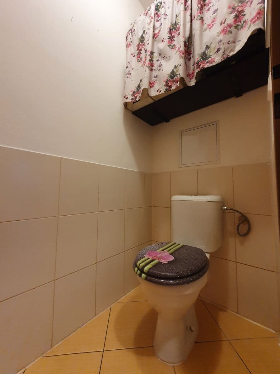 1 bedroom with open-plan kitchen flat for sale, 56 m², Marty Krásové, Prague, Prague 1 bedroom with open-plan kitchen flat for sale, 56 m², Marty Krásové, Prague, Prague