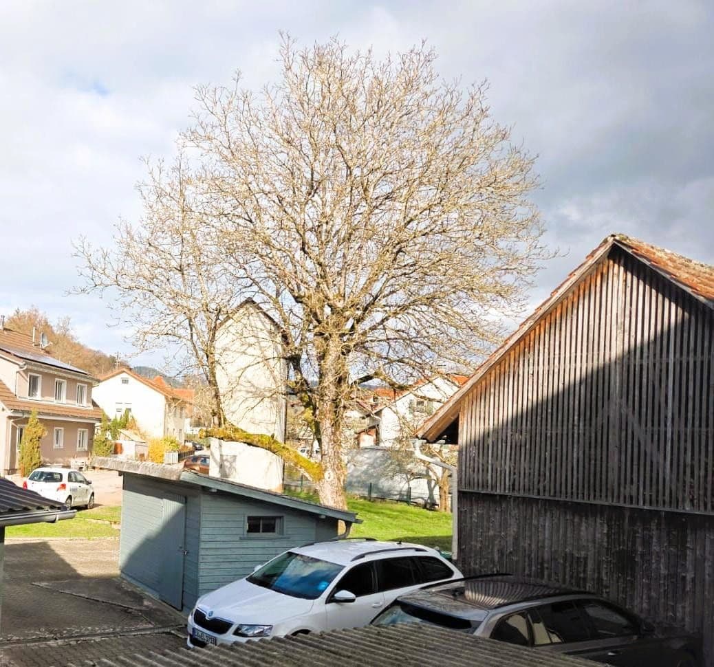 2 bedroom flat to rent, 58 m², Kürnberger Str. 15, Schopfheim, Baden-Württemberg 2 bedroom flat to rent, 58 m², Kürnberger Str. 15, Schopfheim, Baden-Württemberg