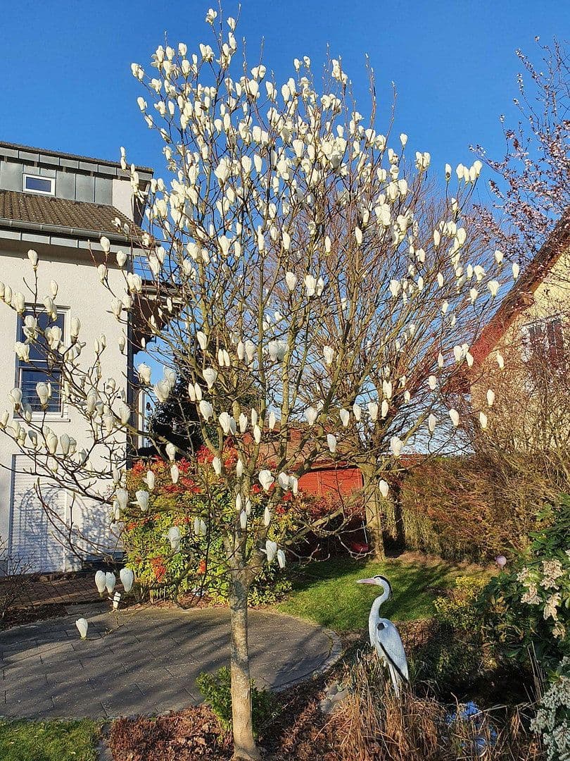 house for sale, 260 m², Lohmar, North Rhine-Westphalia house for sale, 260 m², Lohmar, North Rhine-Westphalia