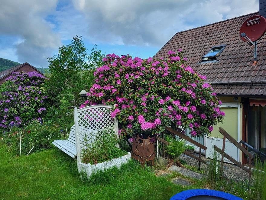 house for sale, 274 m², Langelsheim, Lower Saxony house for sale, 274 m², Langelsheim, Lower Saxony