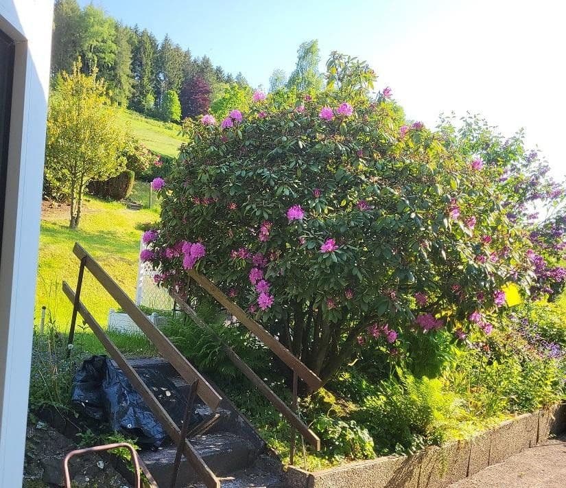 house for sale, 274 m², Langelsheim, Lower Saxony house for sale, 274 m², Langelsheim, Lower Saxony