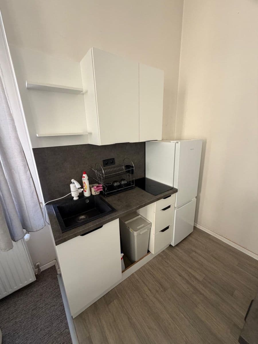 1 bedroom with open-plan kitchen flat to rent, 49 m², Sokolská, Prague, Prague 1 bedroom with open-plan kitchen flat to rent, 49 m², Sokolská, Prague, Prague