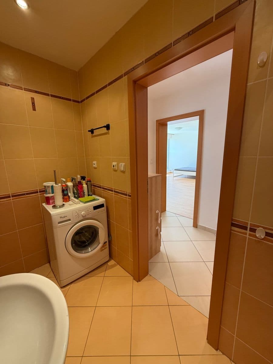 1 bedroom with open-plan kitchen flat to rent, 59 m², Sazovická, Prague, Prague 1 bedroom with open-plan kitchen flat to rent, 59 m², Sazovická, Prague, Prague