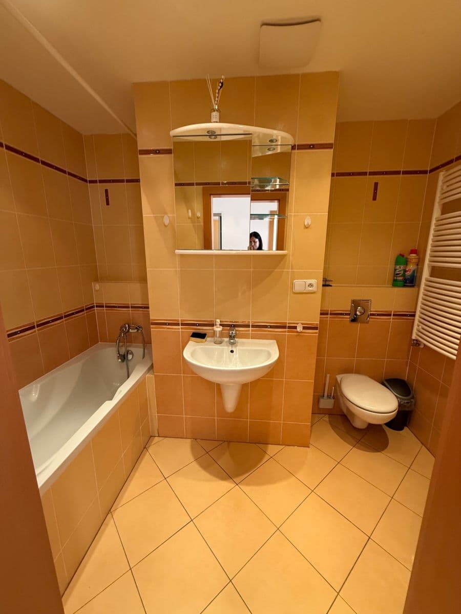 1 bedroom with open-plan kitchen flat to rent, 59 m², Sazovická, Prague, Prague 1 bedroom with open-plan kitchen flat to rent, 59 m², Sazovická, Prague, Prague