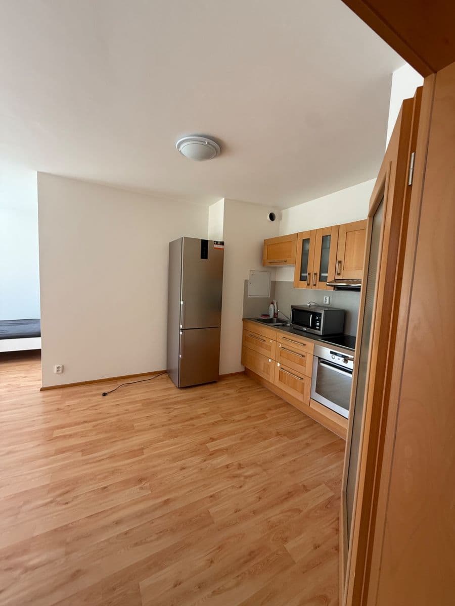 1 bedroom with open-plan kitchen flat to rent, 59 m², Sazovická, Prague, Prague 1 bedroom with open-plan kitchen flat to rent, 59 m², Sazovická, Prague, Prague