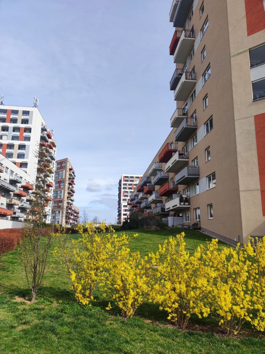 1 bedroom with open-plan kitchen flat to rent, 54 m², Modenská, Prague, Prague 1 bedroom with open-plan kitchen flat to rent, 54 m², Modenská, Prague, Prague