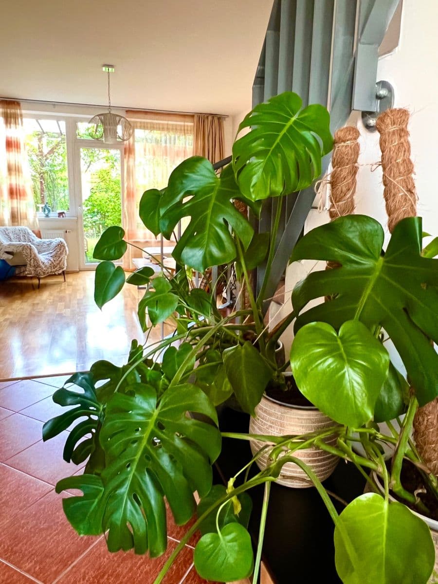 4 bedroom flat to rent, 150 m², Pod Harfou, Prague, Prague 4 bedroom flat to rent, 150 m², Pod Harfou, Prague, Prague