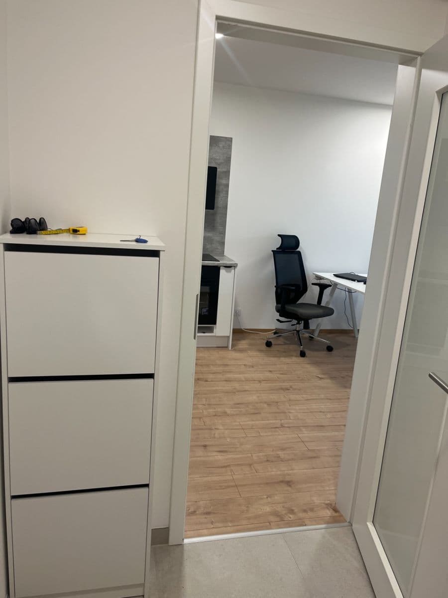 1 bedroom with open-plan kitchen flat to rent, 48 m², Českobrodská, Prague, Prague 1 bedroom with open-plan kitchen flat to rent, 48 m², Českobrodská, Prague, Prague