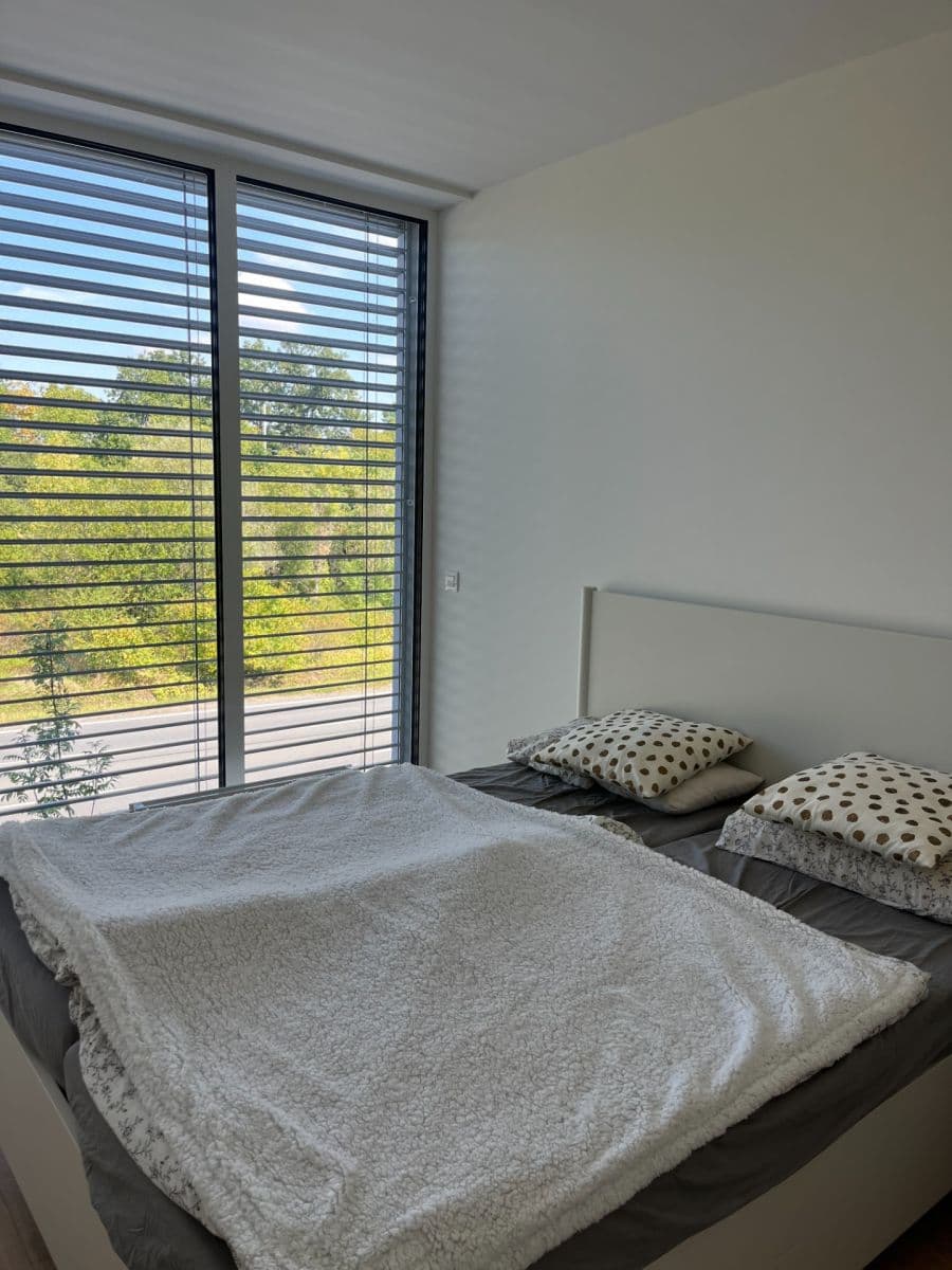 1 bedroom with open-plan kitchen flat to rent, 48 m², Českobrodská, Prague, Prague 1 bedroom with open-plan kitchen flat to rent, 48 m², Českobrodská, Prague, Prague