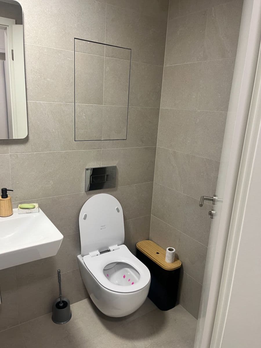 1 bedroom with open-plan kitchen flat to rent, 48 m², Českobrodská, Prague, Prague 1 bedroom with open-plan kitchen flat to rent, 48 m², Českobrodská, Prague, Prague