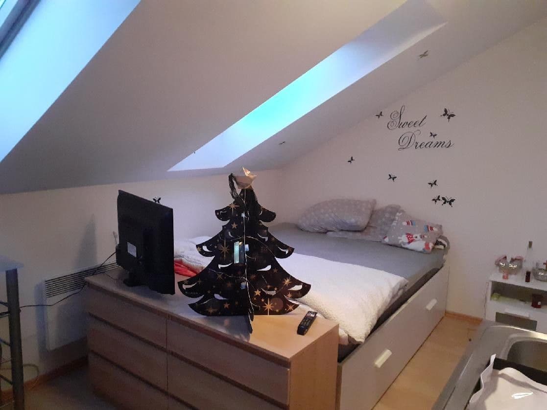 Studio flat to rent, 17 m², Ořechová, Rebešovice, Jihomoravský Region Studio flat to rent, 17 m², Ořechová, Rebešovice, Jihomoravský Region