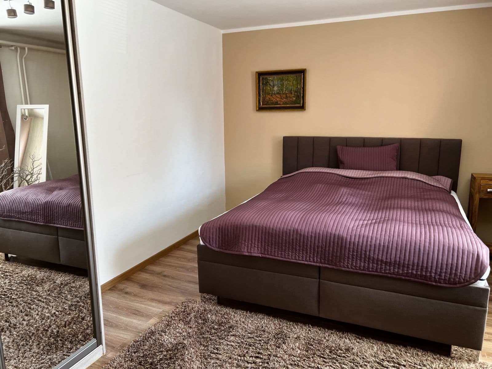 1 bedroom with open-plan kitchen flat to rent, 58 m², Dvorecká, Prague, Prague 1 bedroom with open-plan kitchen flat to rent, 58 m², Dvorecká, Prague, Prague