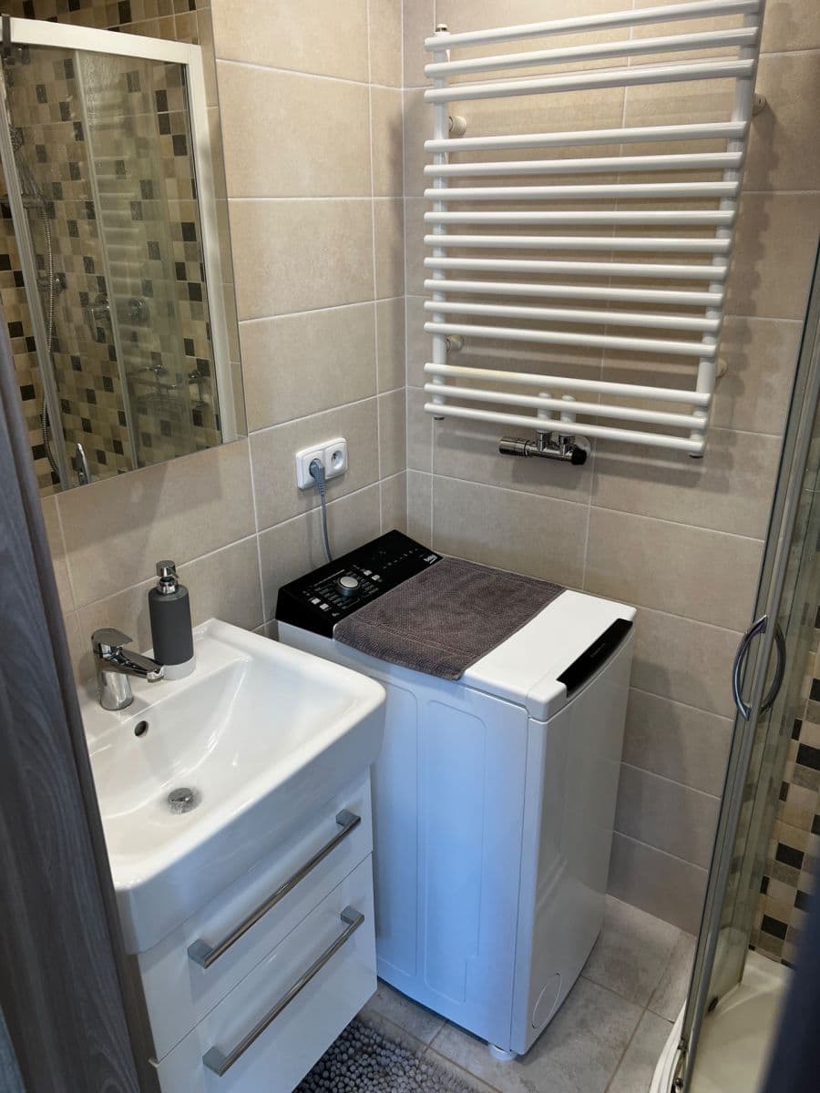 1 bedroom with open-plan kitchen flat to rent, 58 m², Dvorecká, Prague, Prague 1 bedroom with open-plan kitchen flat to rent, 58 m², Dvorecká, Prague, Prague