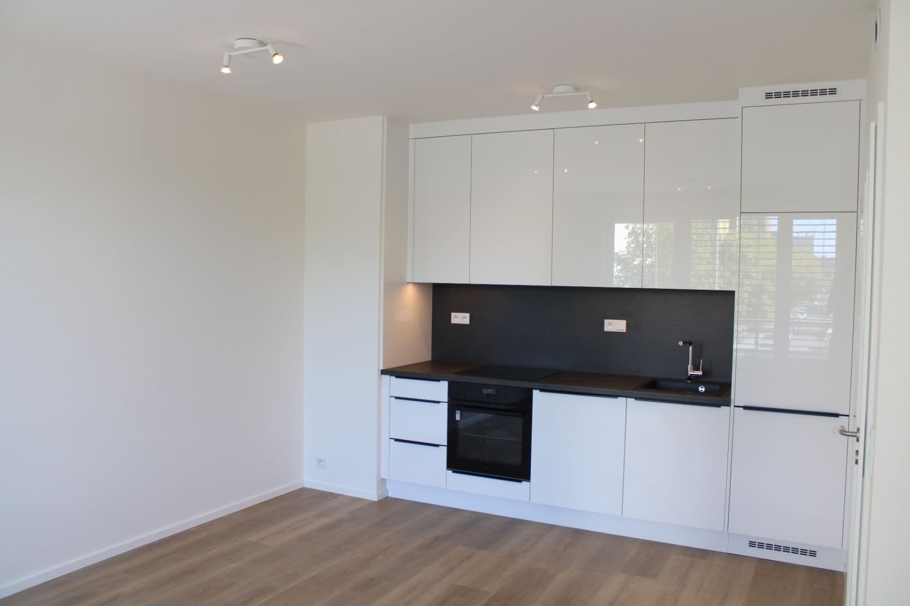 1 bedroom with open-plan kitchen flat to rent, 45 m², Hodkovická, Prague, Prague 1 bedroom with open-plan kitchen flat to rent, 45 m², Hodkovická, Prague, Prague