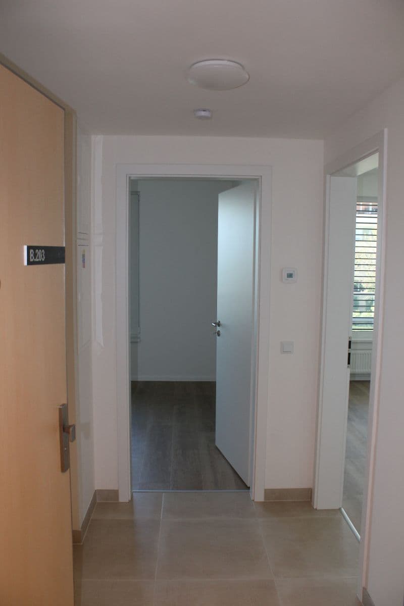 1 bedroom with open-plan kitchen flat to rent, 45 m², Hodkovická, Prague, Prague 1 bedroom with open-plan kitchen flat to rent, 45 m², Hodkovická, Prague, Prague